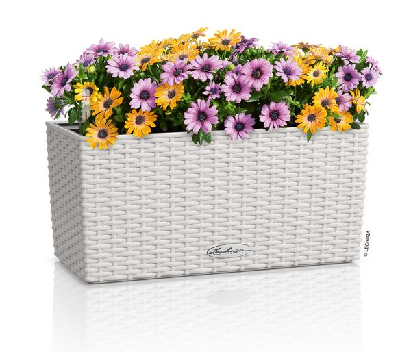 LECHUZA® Kunststoff-Kasten Balconera Cottage,