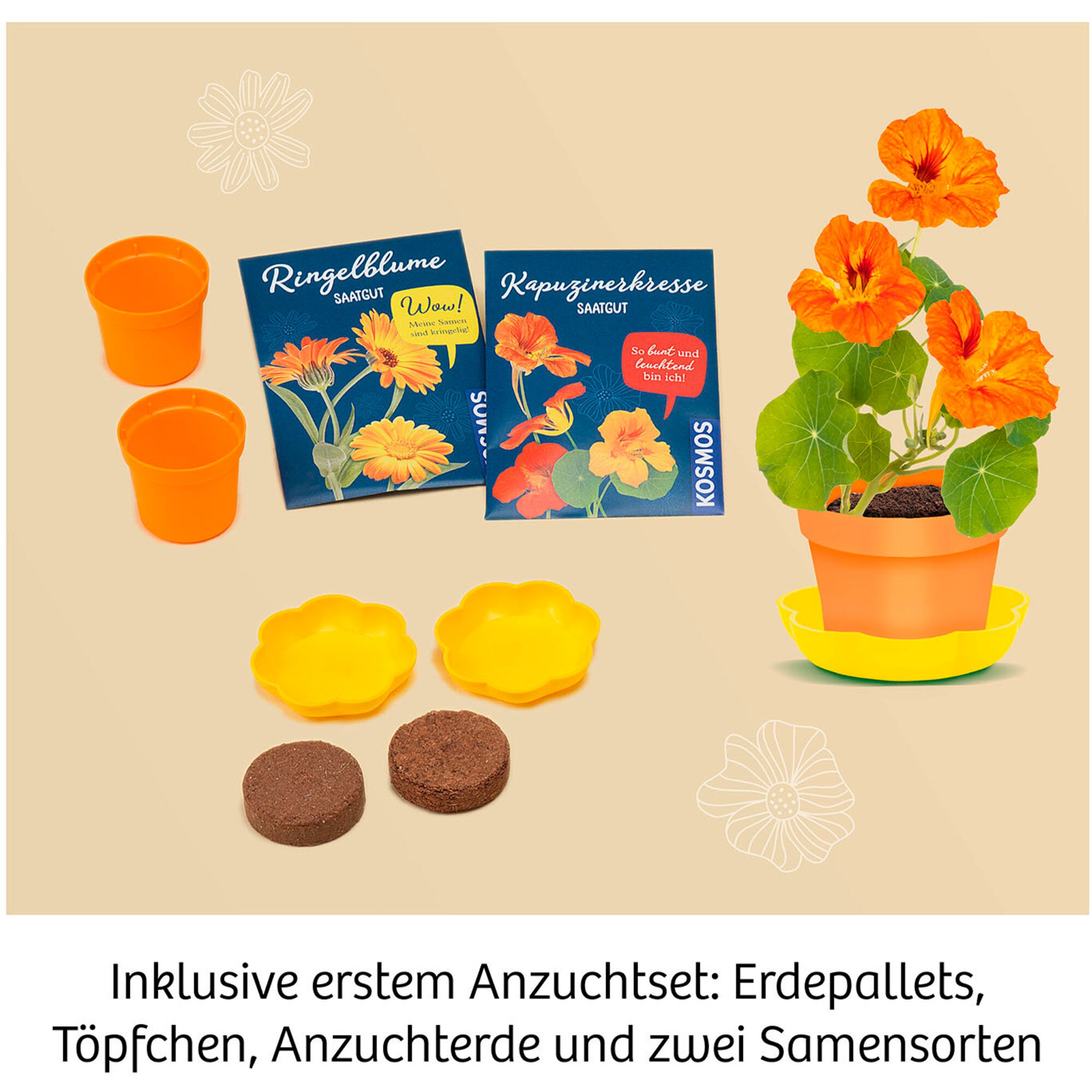 Kosmos Experimentierkasten Blütenpresse
