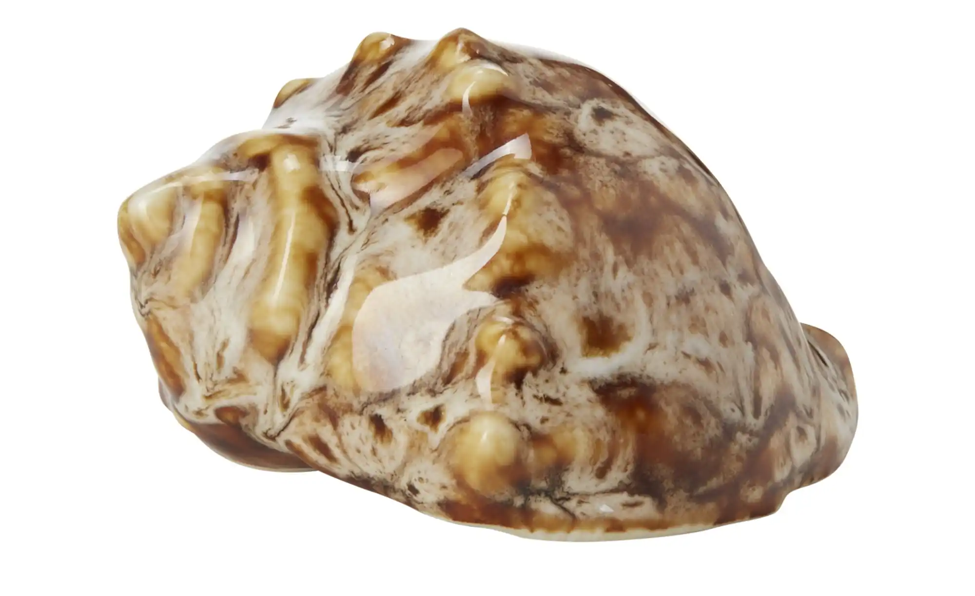 Deko Muscheln, sortiert