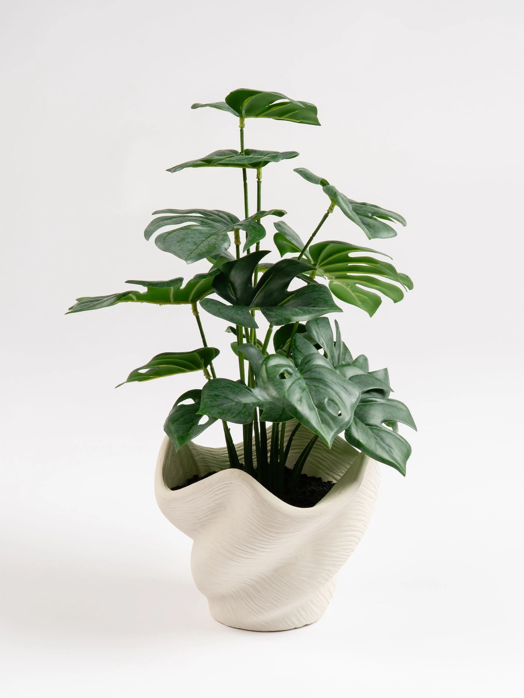 Scottish Everlastings Ltd Artificial Variegated Monstera in Cement Pot