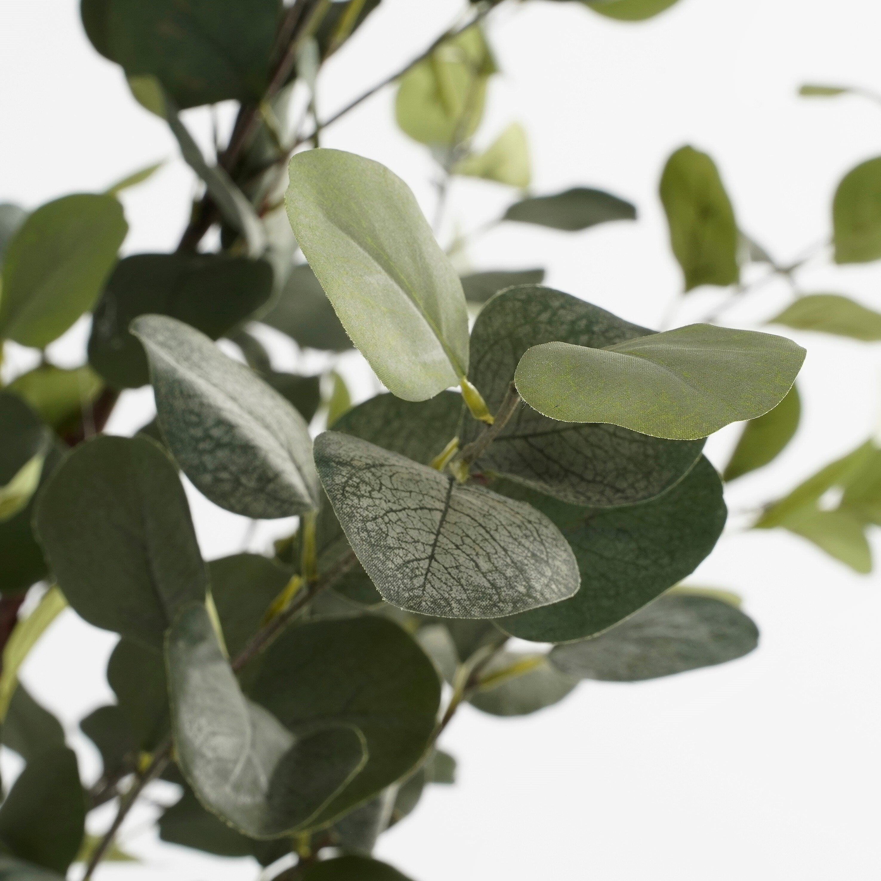 Mica Decorations Eucalyptus boom in pot groen - h180xd80cm