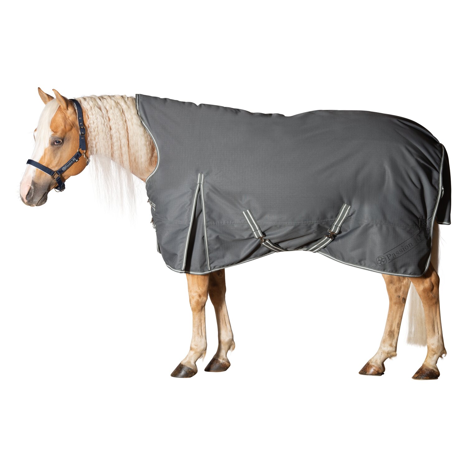 Passion 4Q 3-Zonen Outdoordecke - dark smoke