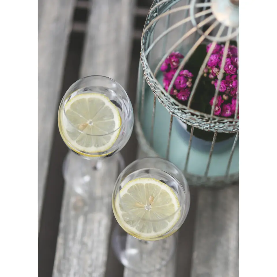 Vicrila wijnglazen Pinot - 6x stuks - rode/witte wijn - 350ml