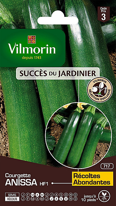 Sachet graines de courgette Anissa HF1