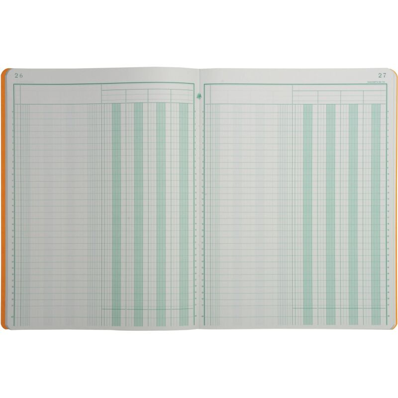 Registre 4 colonnes Exacompta 4040E - 25 x 32 cm 80 pages