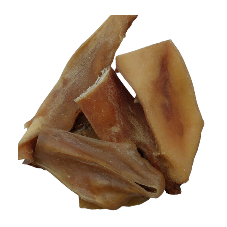 Bezerro Hobbitalf Cão Caracava