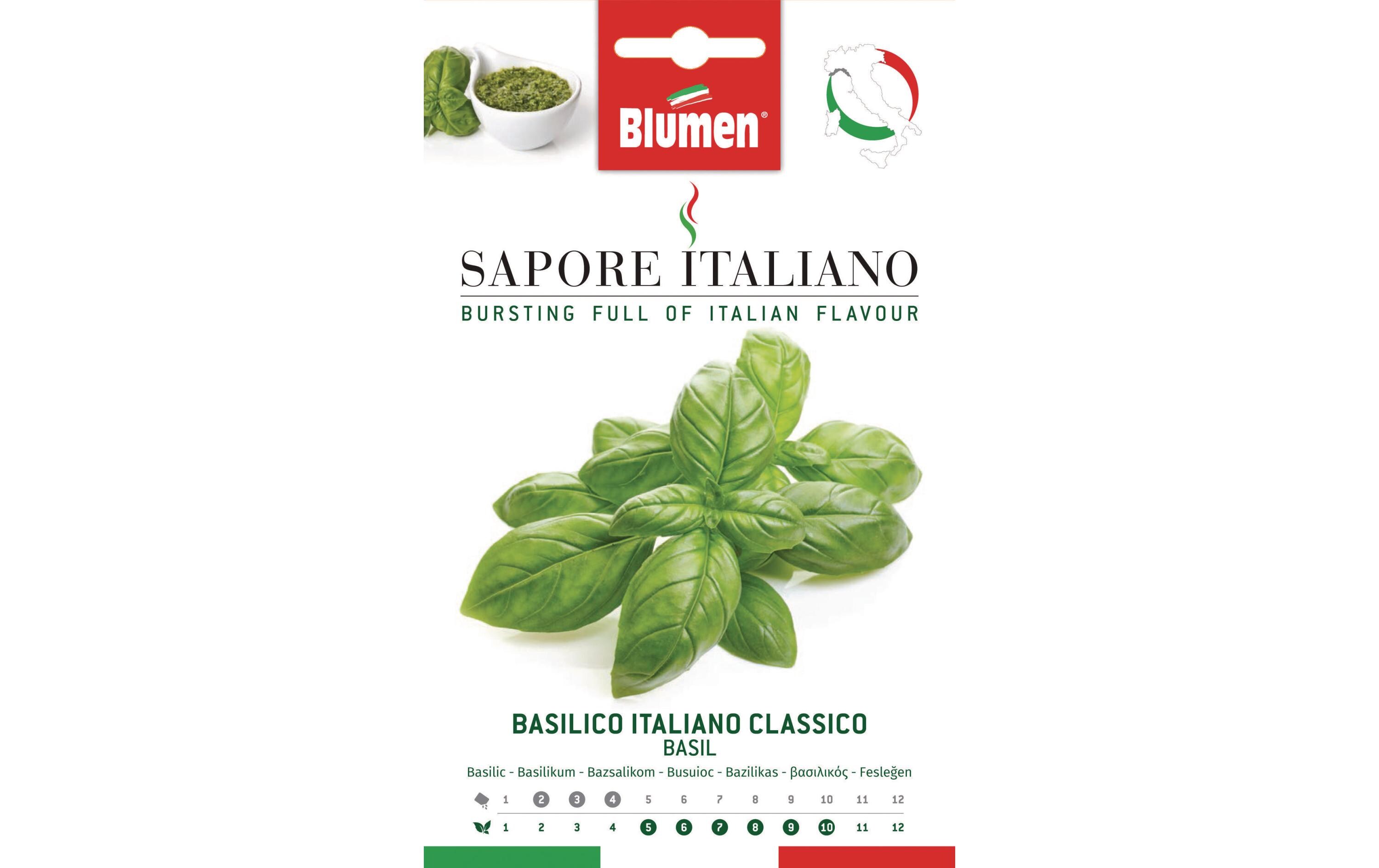 Samen Basilikum Italiano ClassicoGemüsesamen
