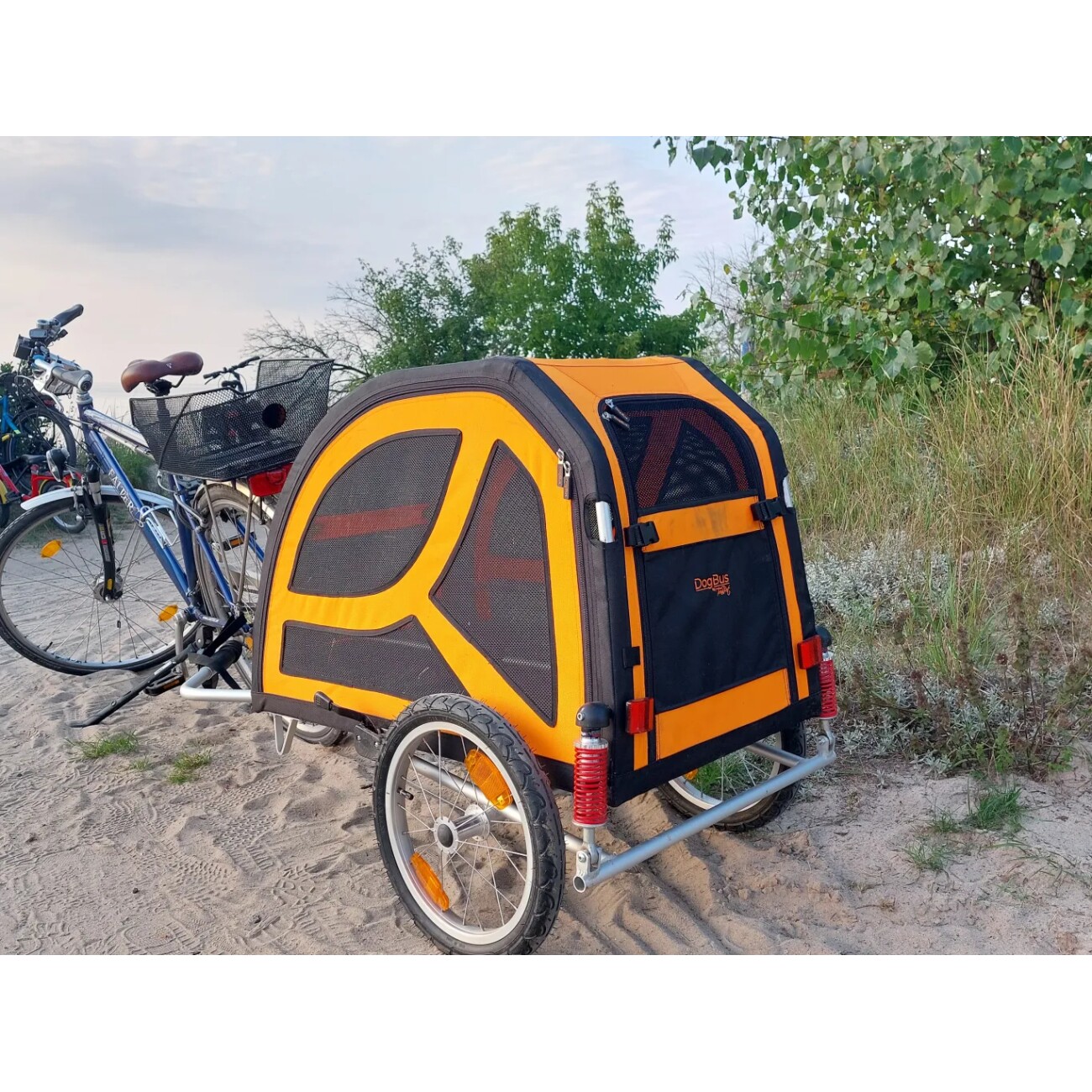 TrendPet DogBus gefederter Fahrradanhänger für Hunde