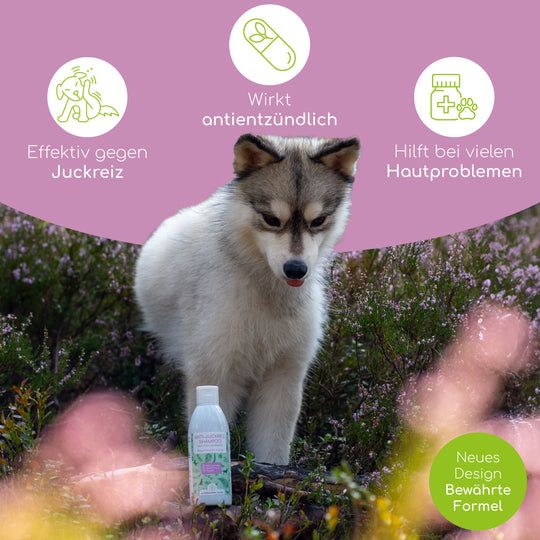 Wolfsbacher Natur Shampoo Anti Juckreiz