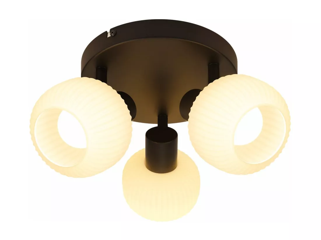 NETTLIFE Spot de plafond 2 abat-jour en verre E14 vintage sans ampoule noir orientable 350°