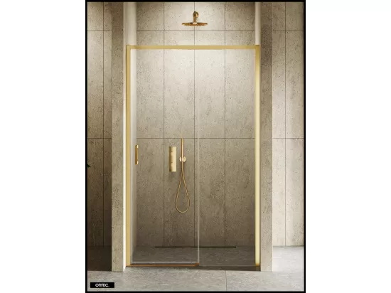 Porte de Douche avec Paroi Latérale - 160 x 200 - OR BROSSÉ - PRIME - DROITE