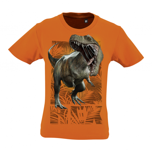 Camiseta infantil Rex, laranja