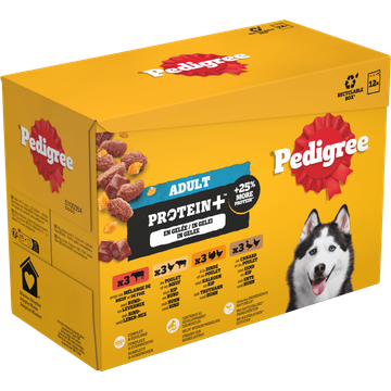 Pedigree Adult Maaltijdzakjes - Proteïne+ Selectie in gelei - Hondenvoer - 12 x 85 g