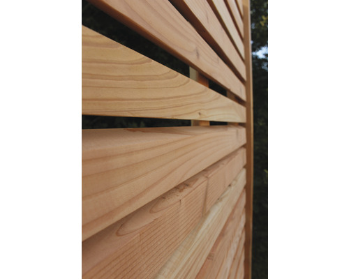 Hoofdelement Rhombus Premium 180 x 180 cm Douglasspar