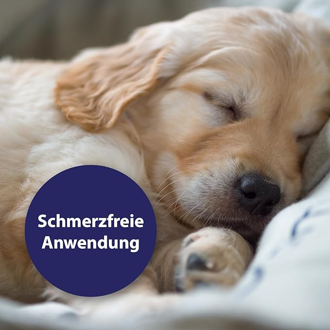 (75ml) Hunde Wundspray Reinigung & Pflege von Wundbereichen (250656)