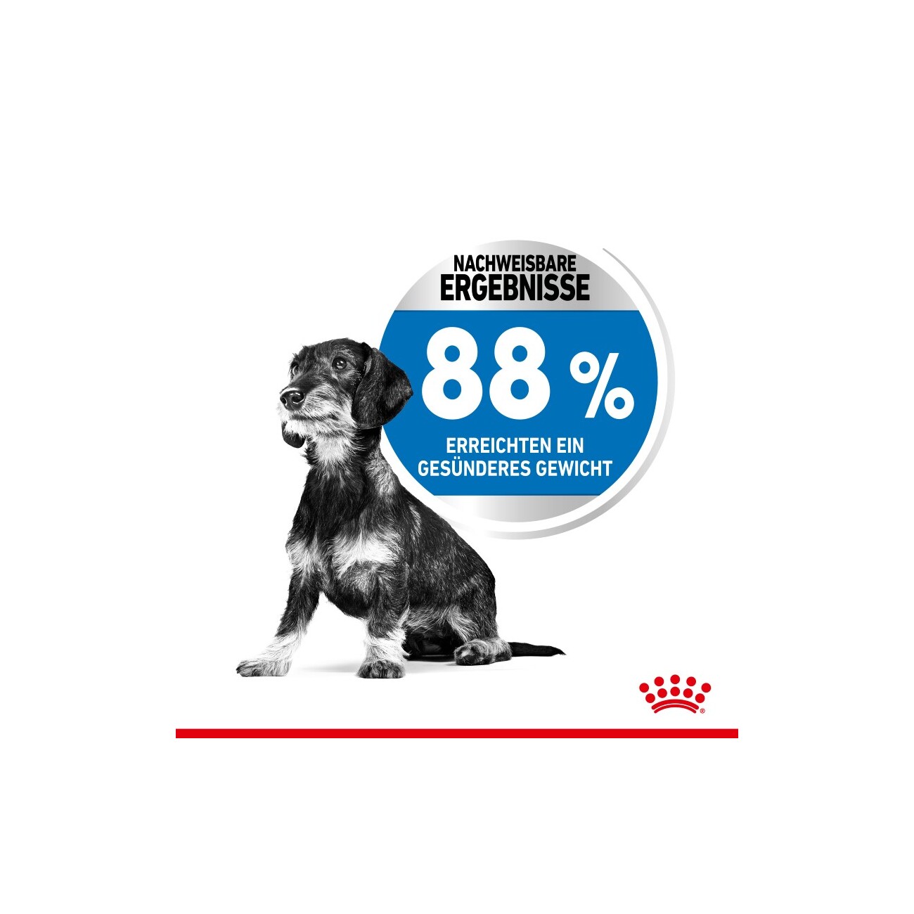 ROYAL CANIN Light Weight Care Mini 1 kg