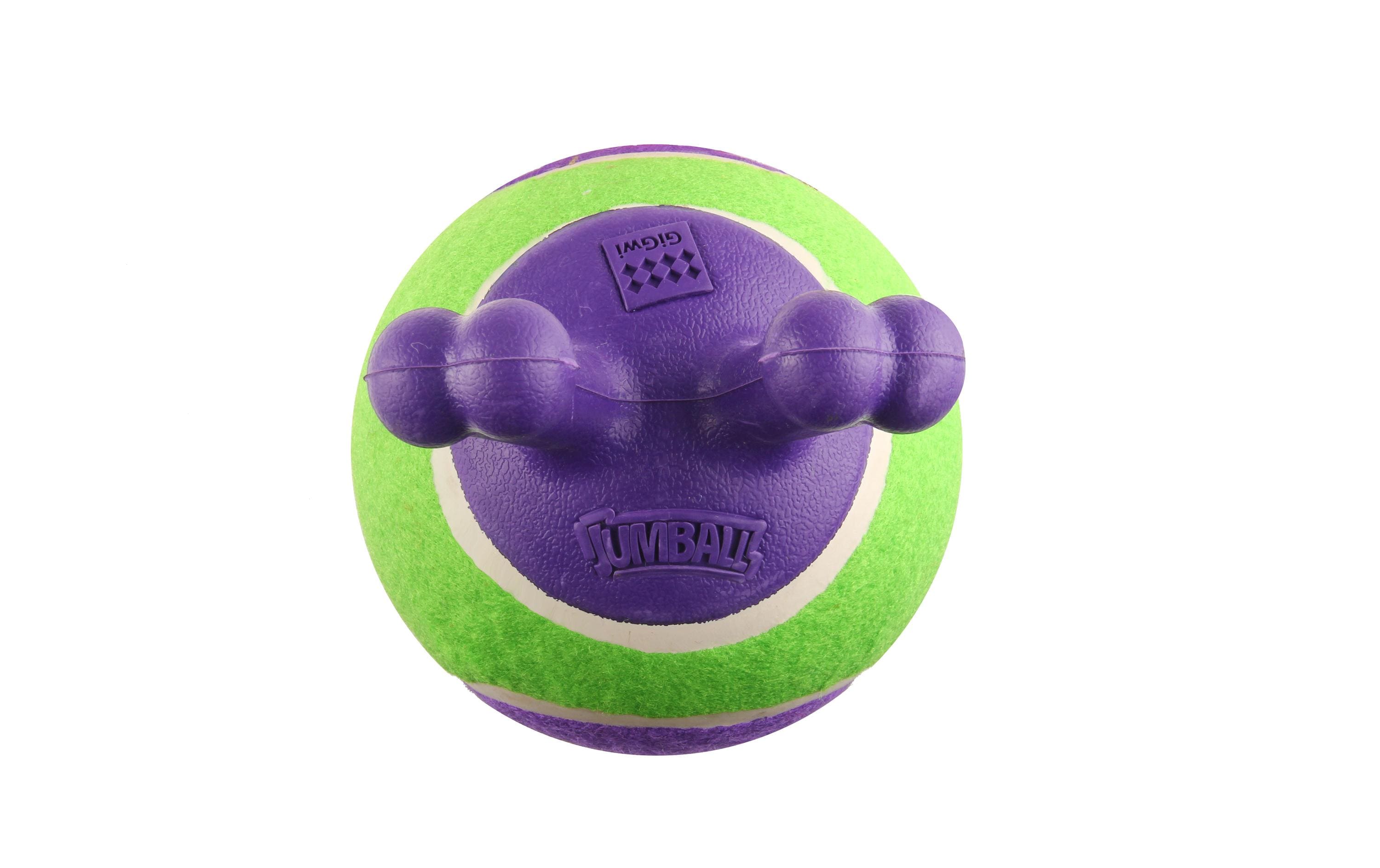 Hunde-Spielzeug Jumpball, Tennis Ball, Grün/ViolettSpielzeug für Hunde