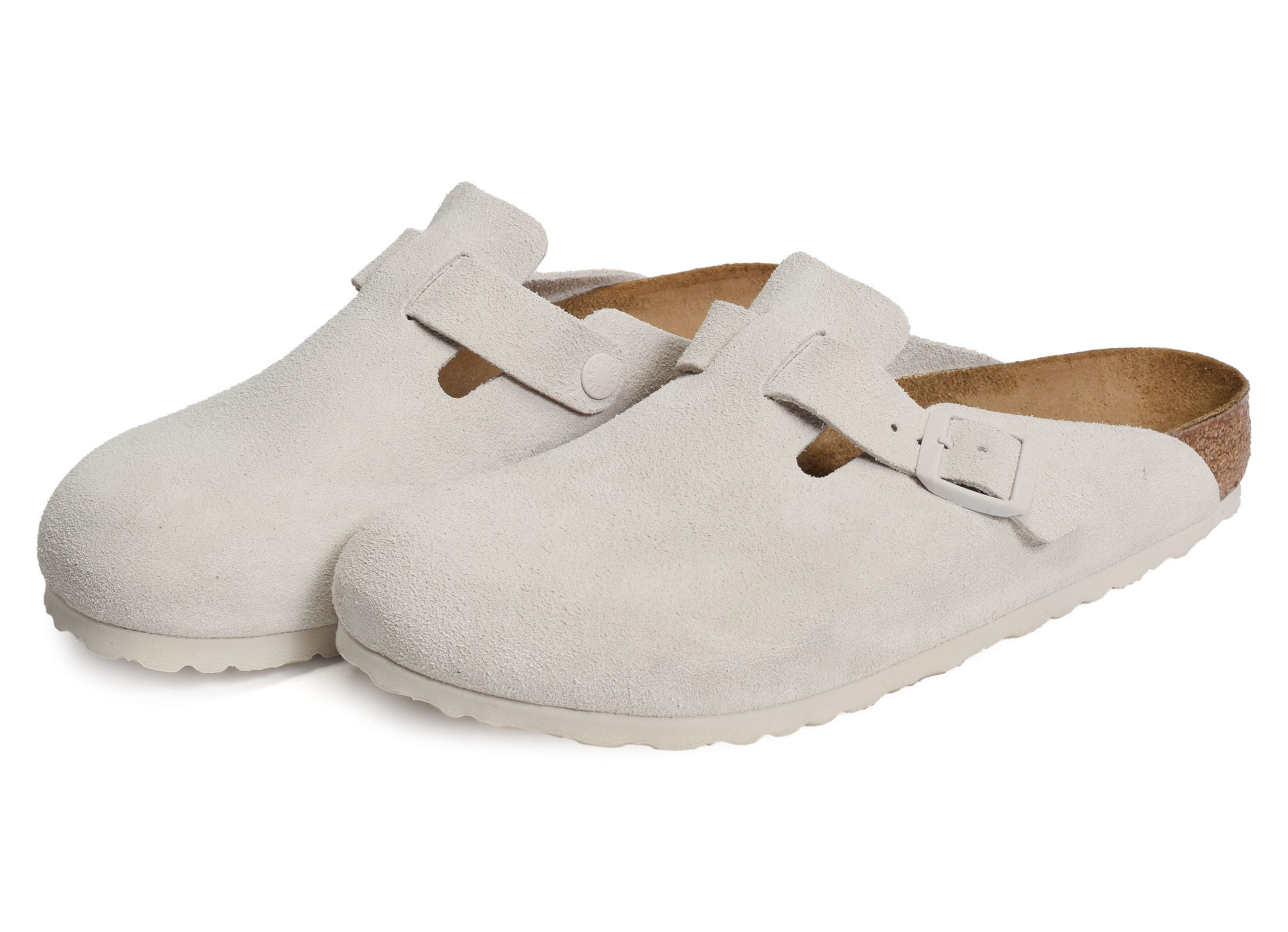 Boston sfb blanc