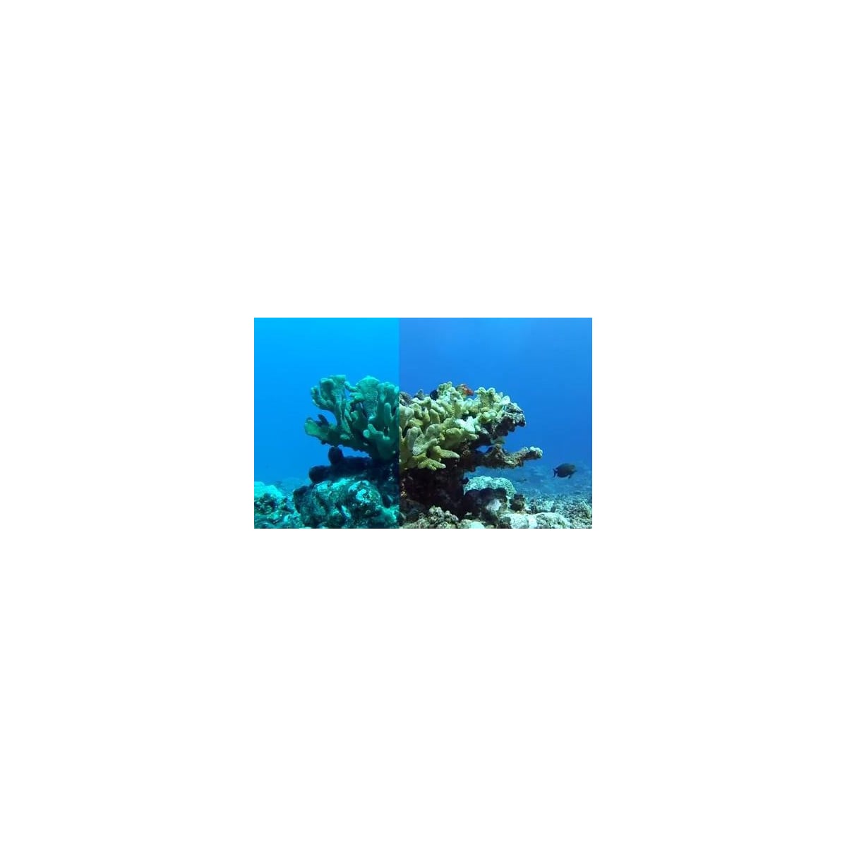Rødt filter for GoPro Hero3+