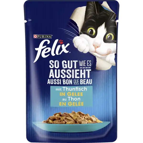 So gut wie es aussieht mit Thunfisch in Gelee