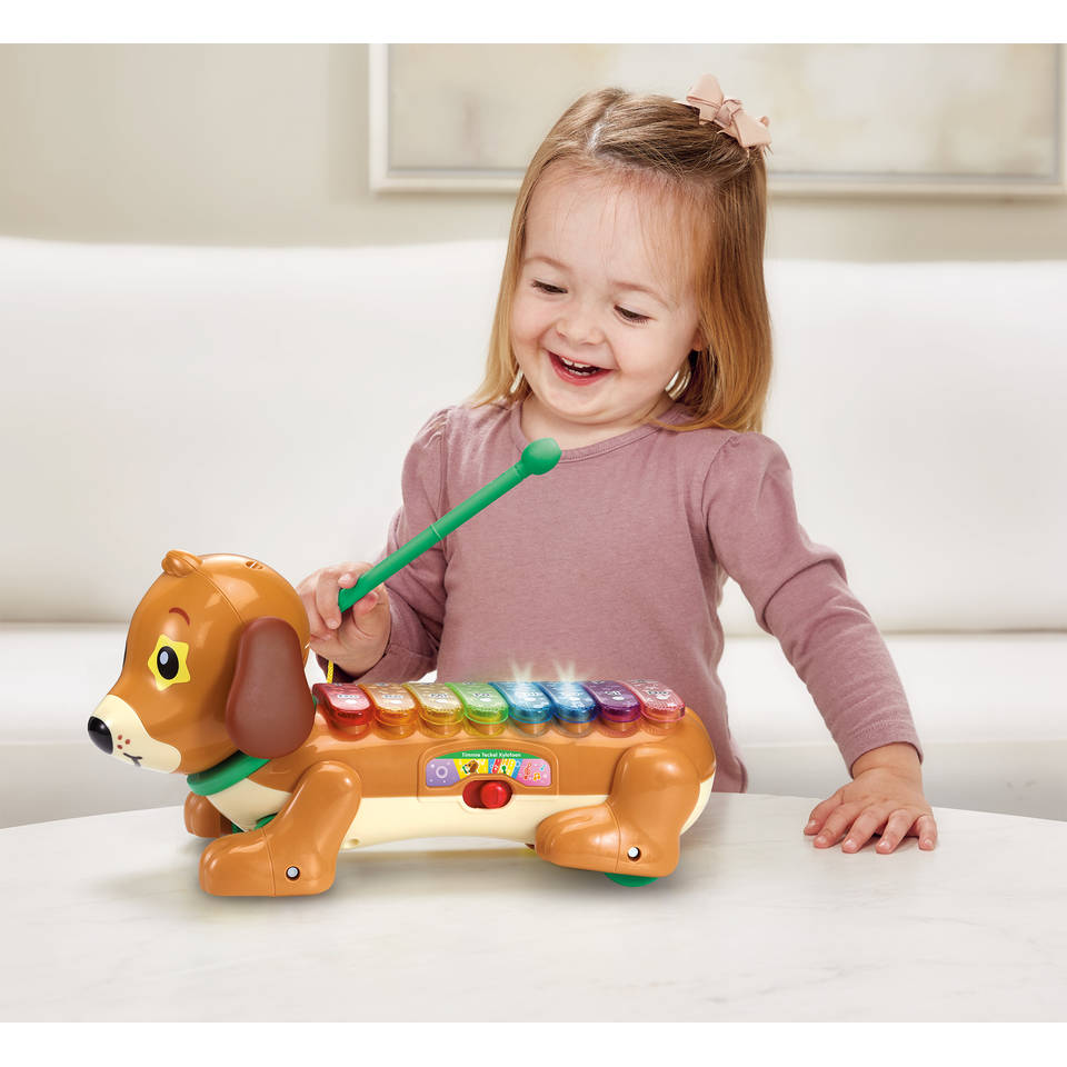 VTech Timmy Teckel xylofoon