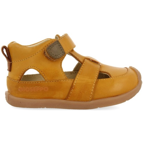 Gioseppo - BABSON Amarillo