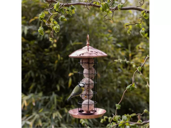 Mangeoire à oiseaux Plaqué cuivre - boules de graisses