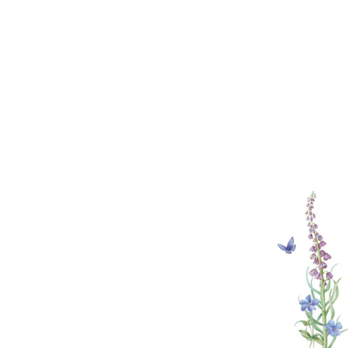Denken aan | Janneke Brinkman | Bloemen