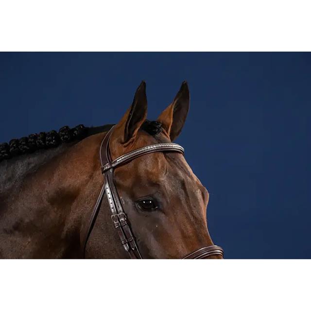 Frontriem Dy'on Silver Clincher Us Hunter Bruin