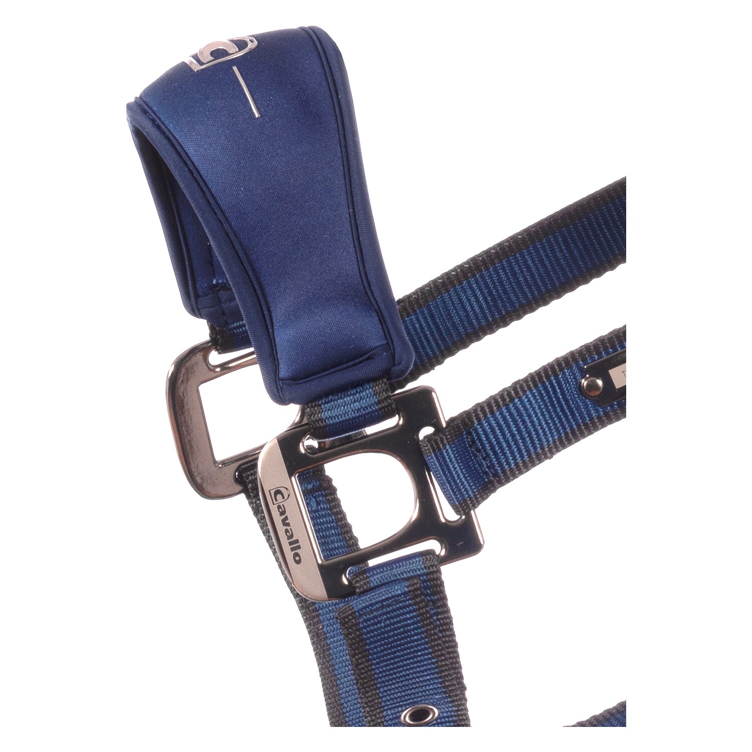 Cavallo Halfter CAVAL SOFTSHELL HEAD COLLAR  - nightblue
