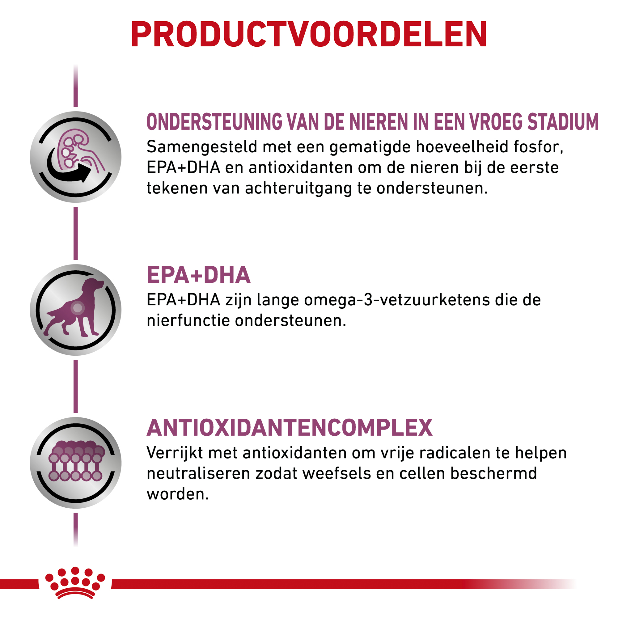 Royal Canin Early Renal Hond