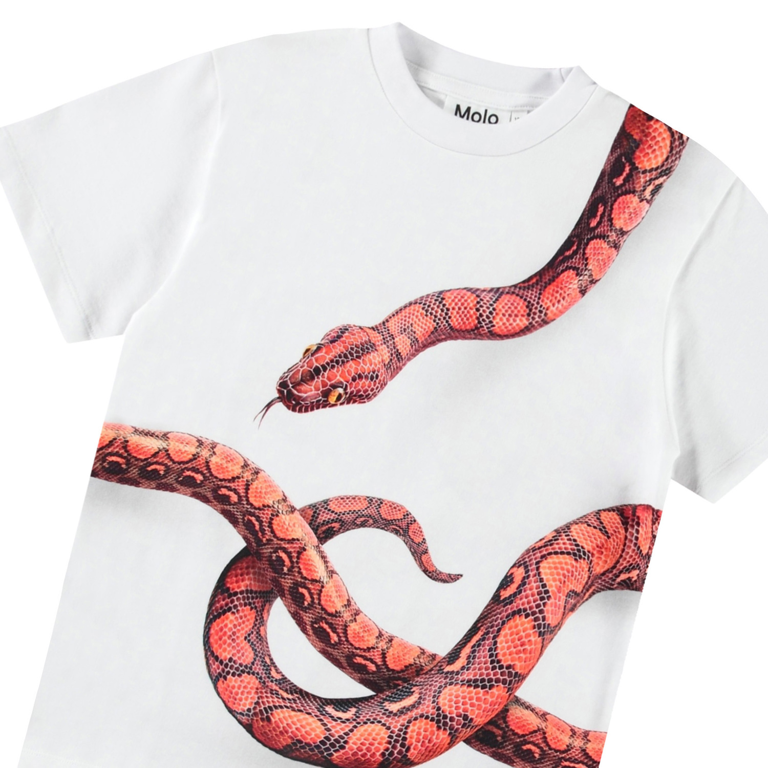Rubin - Red Snake