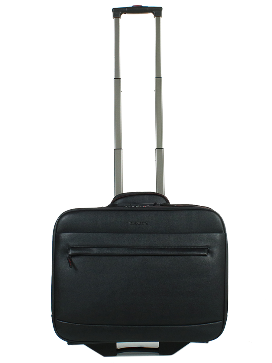 Pilot case Davidt's Oran 17 pouces