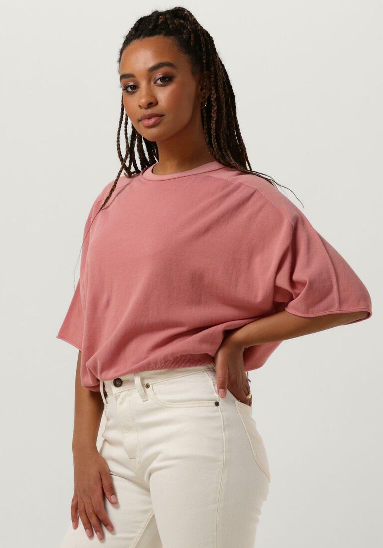 DRYKORN roze drykorn top dilary