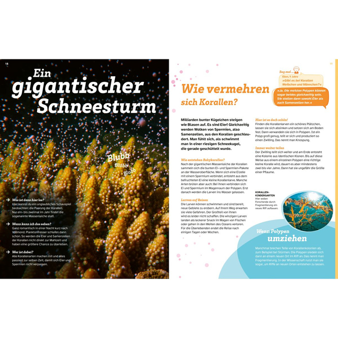 WAS IST WAS - Korallenriff - Mitten im Gewusel