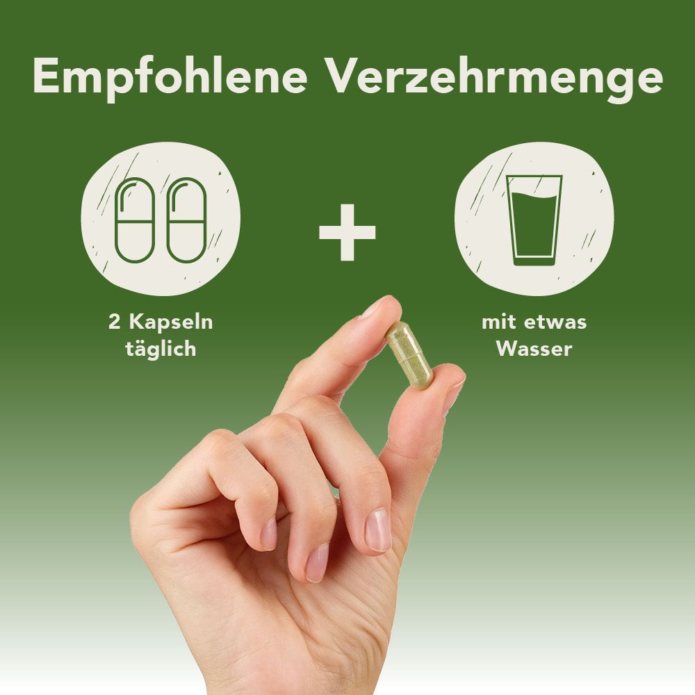 Fermentura® Sehkraft