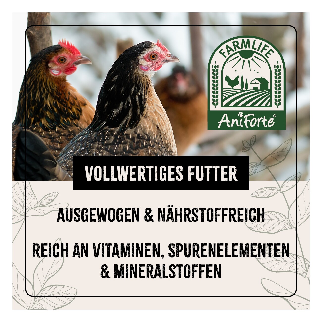 AniForte FarmLife Hühner Futter Mix mit Oregano 10 kg