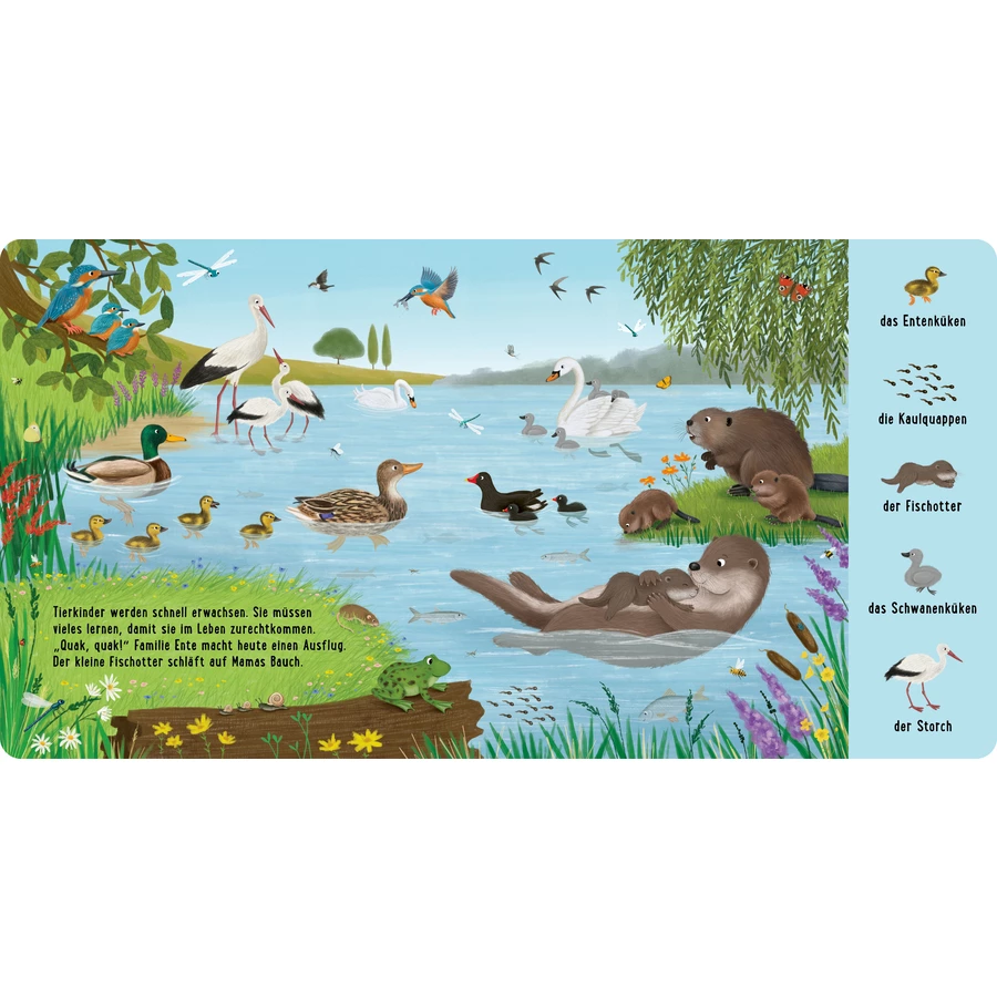 Thienemann Mein erstes Natur-Wimmelbuch: Bei den Tierkindern