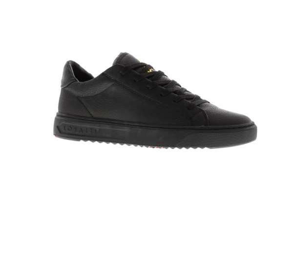 Loyalti Loyalti Patriot Reptile Trainers