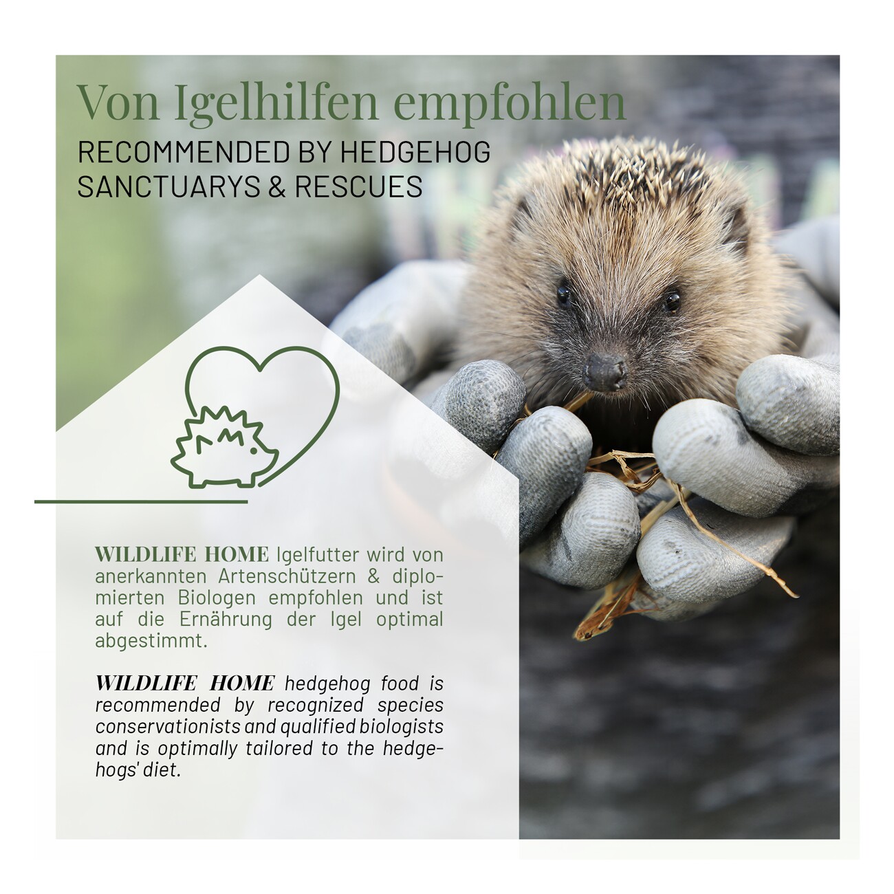 WILDLIFE HOME Igelfutter 1kg