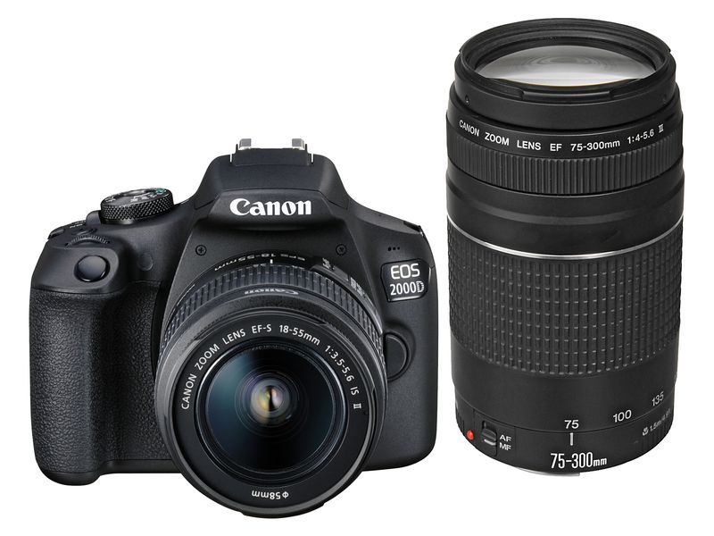 Canon Fotokamera EOS 2000D Kit 18-55 inkl. EF 75-300mm Einstiegs-DSLR mit APS-C-Sensor und zwei Objektiven