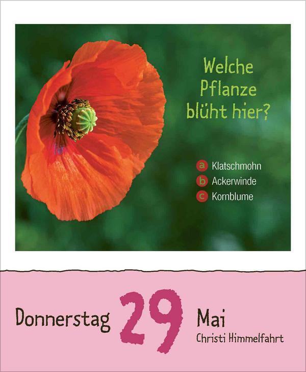 Kinderwissen 2025