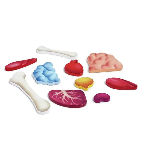 Hape Puzzle 