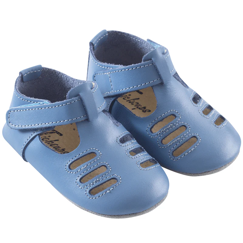 Tibilly bleuet