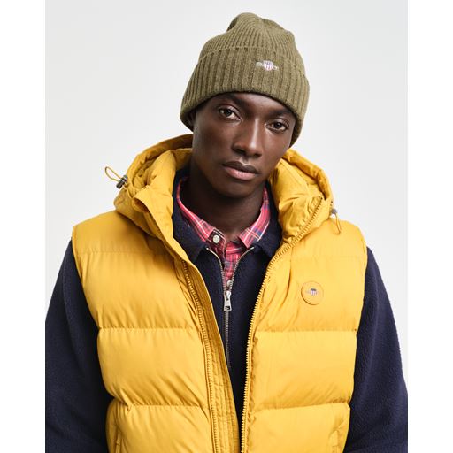 GANT Shield Hue, Juniper Green
