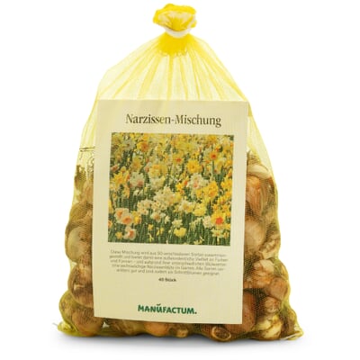 Blumenzwiebeln Narzissen-Mischung