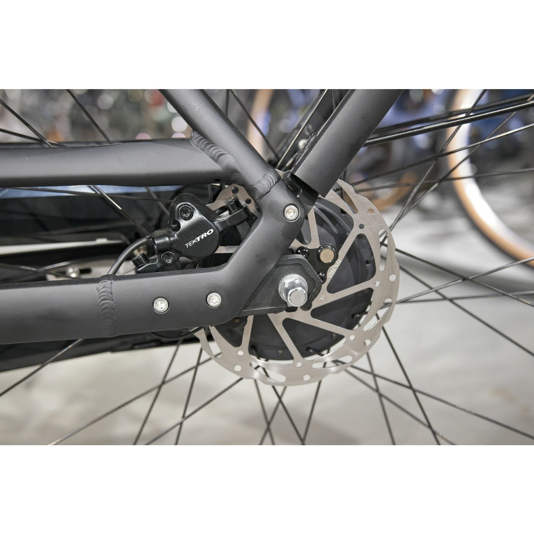 Gazelle Bloom C310 HMS 2026