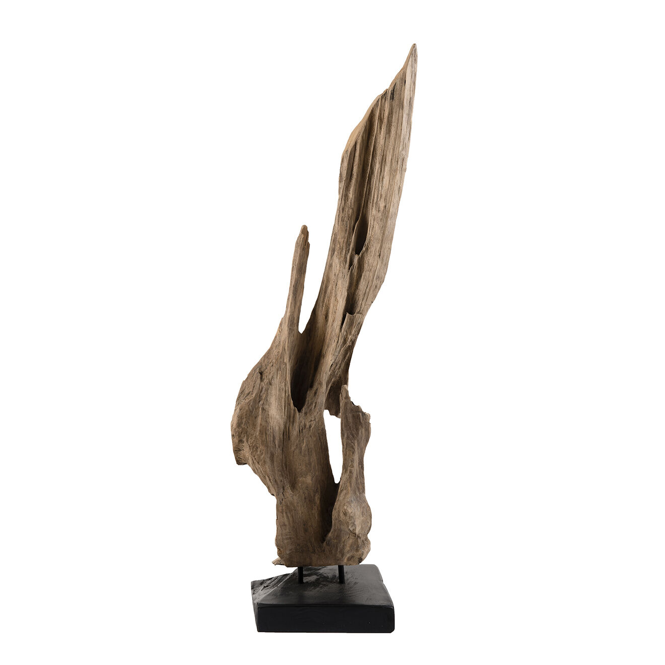 Macabane Sculpture branche M Clara teck - 26x22x106 cm
