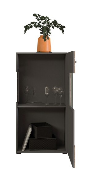 Vitrine FRENO II Oak/ grau