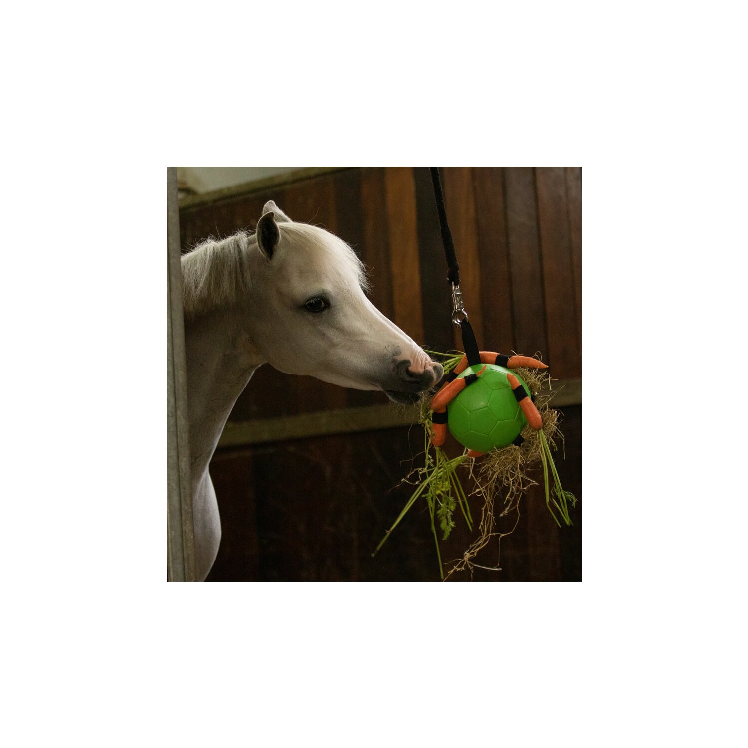 MAXIMUS Fun Play Ball  - grün - 19 cm
